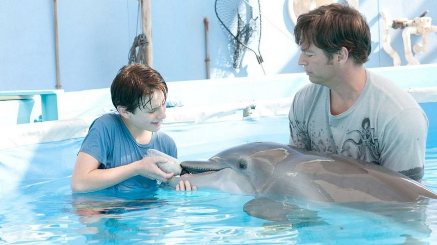 Che fine ha fatto Austin Stowell, Kyle in L'incredibile storia di Winter il delfino?