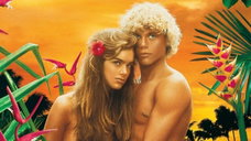 Copertina di Laguna blu è una storia vera? Le origini del film
