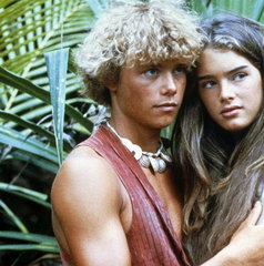 Copertina di Che fine ha fatto Christopher Atkins, Richard in Laguna blu?