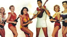 Copertina di Blue Hawaii: trama, cast e dove vederlo in streaming