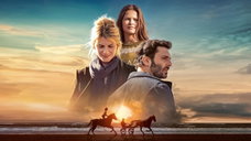 Copertina di Il mio amico Tempesta: trama, cast e dove vederlo in streaming