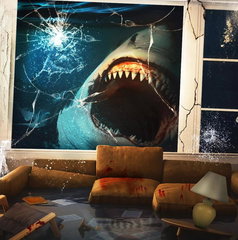 Copertina di Swim: trama, cast e dove vederlo in streaming