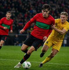 Copertina di Dove vedere NEC Nijmegen-Bodø/Glimt oggi: orario, canale e streaming
