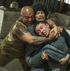 Copertina di 20 film simili a The Furious, vendetta e arti marziali