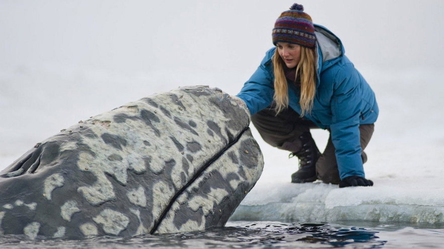 Che fine ha fatto Vinessa Shaw, Kelly in Qualcosa di straordinario?