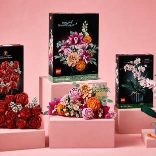 Migliori LEGO di fiori e piante da esposizione (2026)
