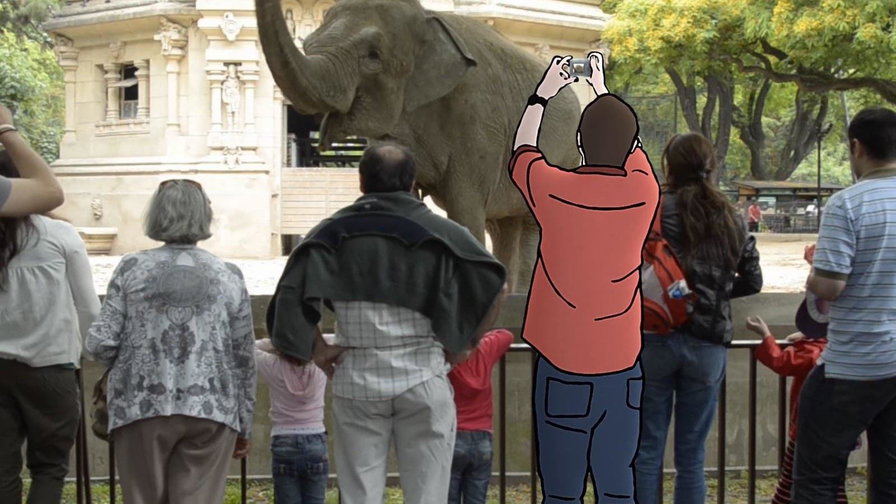Zoofobia