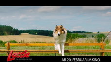 Copertina di Lassie torna a casa: trama, cast e dove vederlo in streaming
