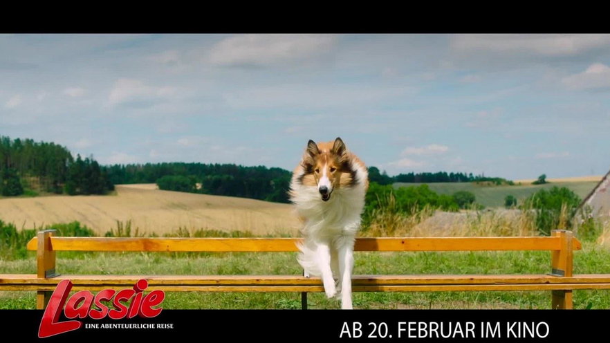 Lassie torna a casa, il film stasera in tv su Rai 1: trama, cast e streaming