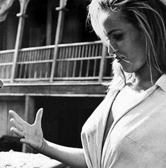 Copertina di Che fine ha fatto Ursula Andress, Maxine in I 4 del Texas?