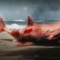 Copertina di Atomic Shark, il film stasera in tv su Cielo: trama, cast e streaming