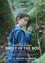Copertina di Sheep in the Box: trama, finale spiegato e significato del film
