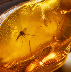 Copertina di Jurassic Park: il mosquito nell’ambra venduto a più del doppio della stima