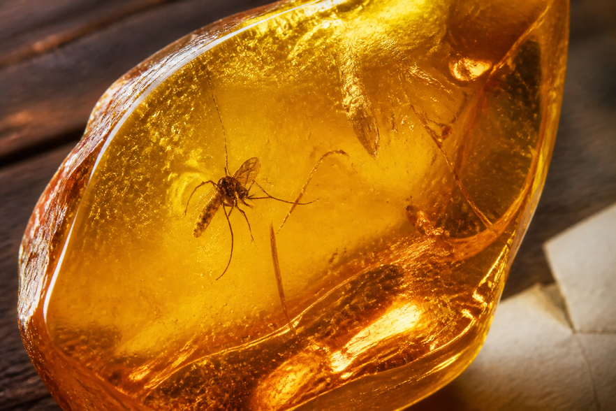Jurassic Park: il mosquito nell’ambra venduto a più del doppio della stima