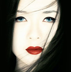 Copertina di Memorie di una geisha è una storia vera? La realtà dietro Sayuri