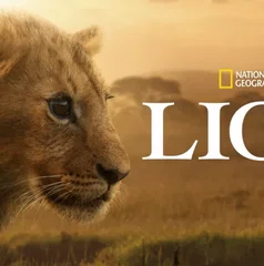 Copertina di I migliori documentari da vedere ora su Disney+ ad agosto 2026