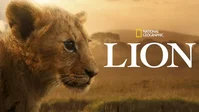 I migliori documentari da vedere ora su Disney+ ad agosto 2026