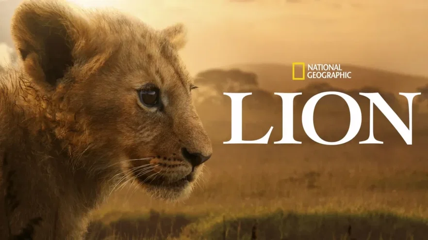 I migliori documentari da vedere ora su Disney+ ad agosto 2026