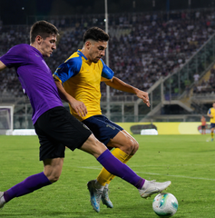 Copertina di Dove vedere Fiorentina-Frosinone oggi: orario, canale e streaming della Serie A
