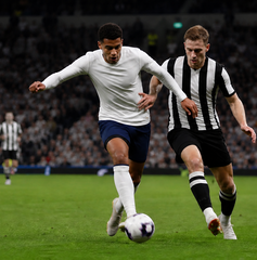 Copertina di Dove vedere Tottenham-Newcastle oggi: orario, canale e streaming