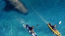 Copertina di Dove è stato girato The Reef - Intrappolate? Le location reali