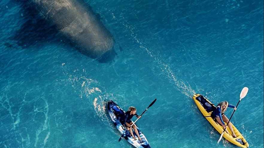 Dove è stato girato The Reef - Intrappolate? Le location reali