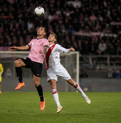 Copertina di Dove vedere Palermo-Mantova oggi: orario, canale e streaming dei sedicesimi di Coppa Italia