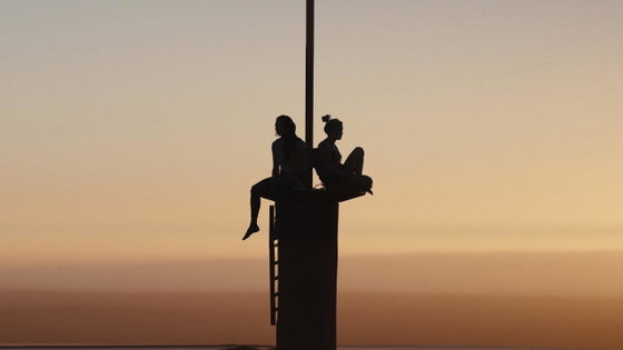 Fall è una storia vera? Le origini reali del film