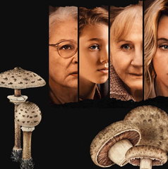 Copertina di Sotto le foglie, il film stasera in tv su Rai 3: trama, cast e streaming