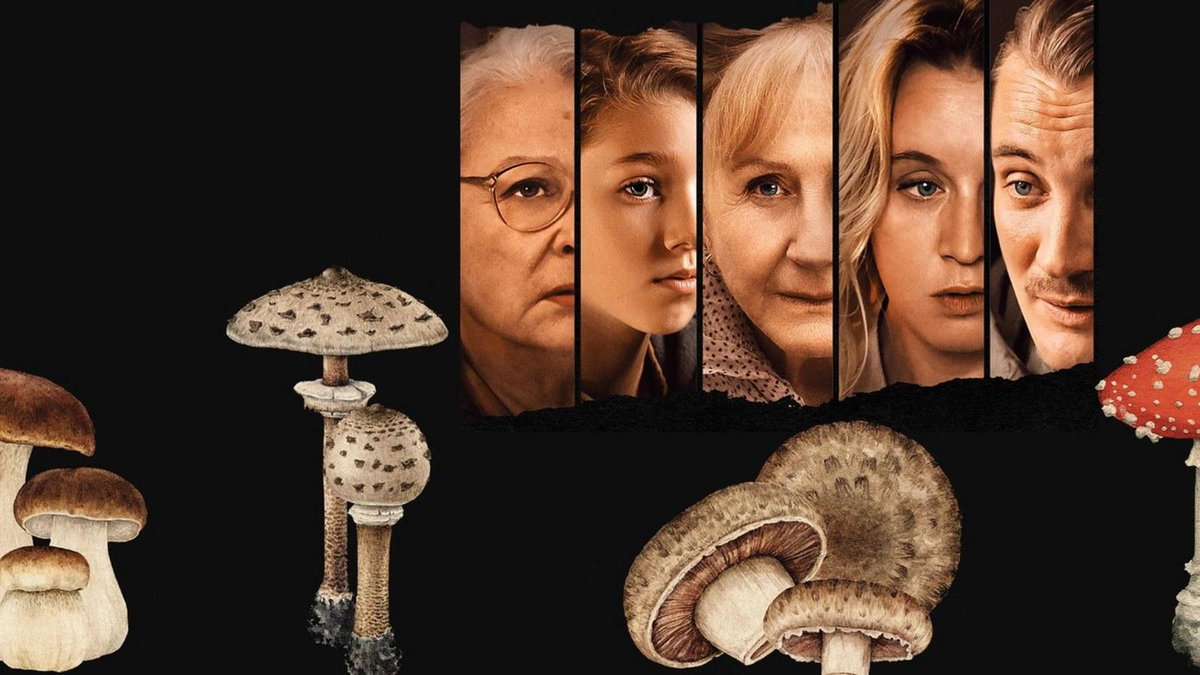 Immagine di Sotto le foglie, il film stasera in tv su Rai 3: trama, cast e streaming