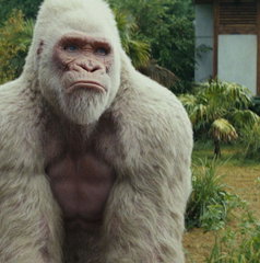 Copertina di Rampage Furia animale, il film stasera in tv su Italia 1: trama, cast e streaming