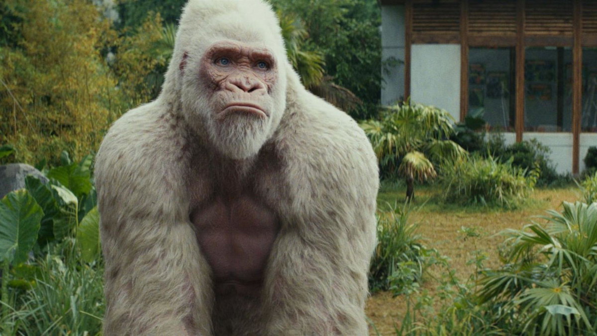 Immagine di Rampage Furia animale, il film stasera in tv su Italia 1: trama, cast e streaming