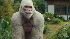 Copertina di Rampage Furia animale: trama, cast e dove vederlo in streaming