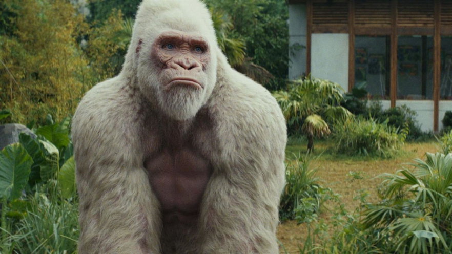 Rampage Furia animale, il film stasera in tv su Italia 1: trama, cast e streaming