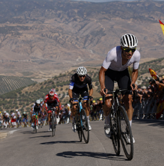 Copertina di Dove vedere Vuelta a España 2026, tappa 14 oggi: orario, canale e streaming