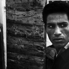 Copertina di La battaglia di Algeri, il film stasera in tv su Rai 5: trama, cast e streaming