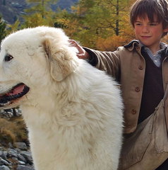 Copertina di Belle e Sebastien: trama, cast e dove vederlo in streaming