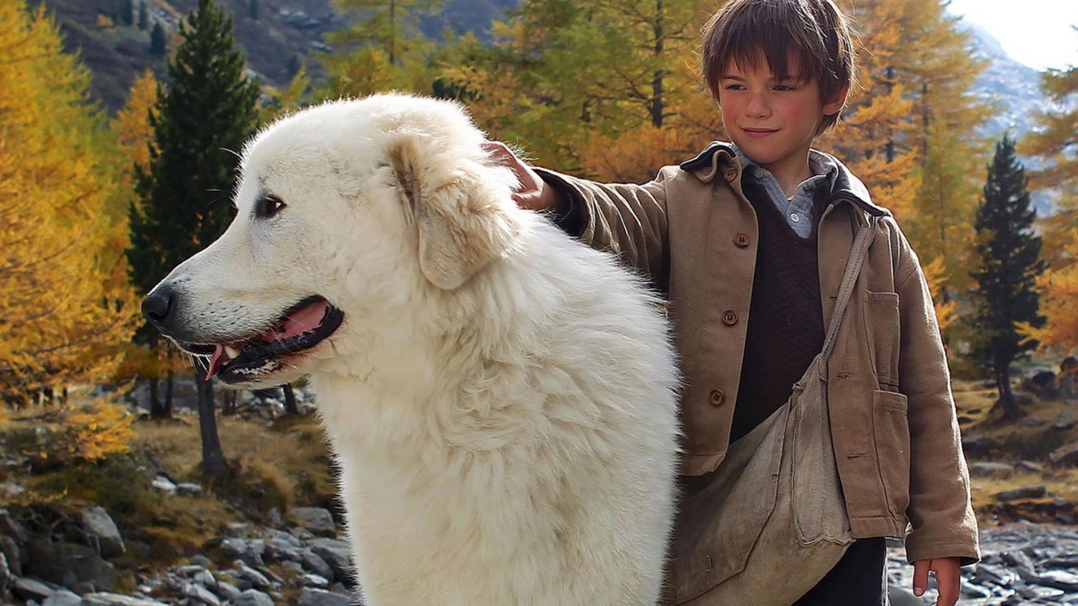 Immagine di Belle e Sebastien, il film stasera in tv su La5: trama, cast e streaming