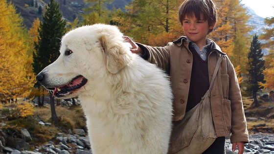 Belle e Sebastien, il film stasera in tv su La5: trama, cast e streaming