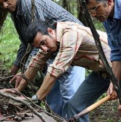 Copertina di Mandrake, il film stasera in tv su Rai 4: trama, cast e streaming