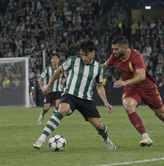 Copertina di Dove vedere Sporting Lisbona-Galatasaray oggi: orario, canale e streaming