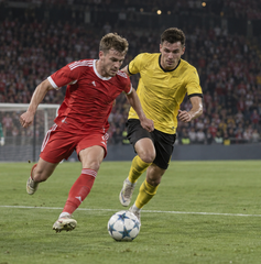 Copertina di Dove vedere Bayern Monaco-Bodø/Glimt oggi: orario, canale TV e streaming