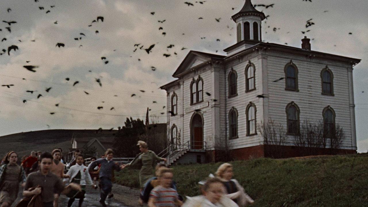 Gli uccelli — Hitchcock scatena la natura senza spiegazioni