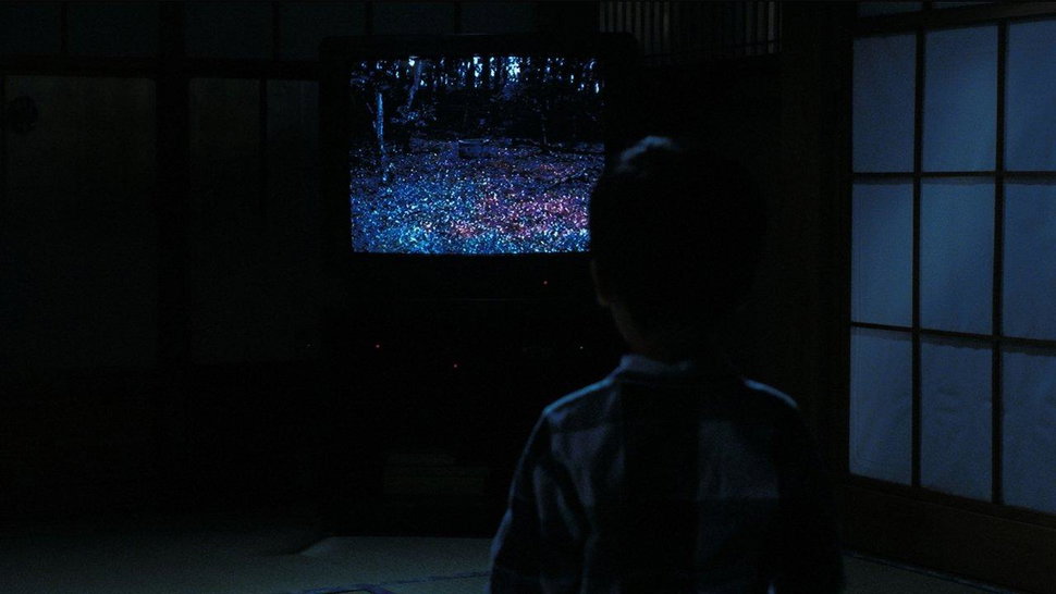 Ring — Sette giorni dopo la videocassetta arriva Sadako