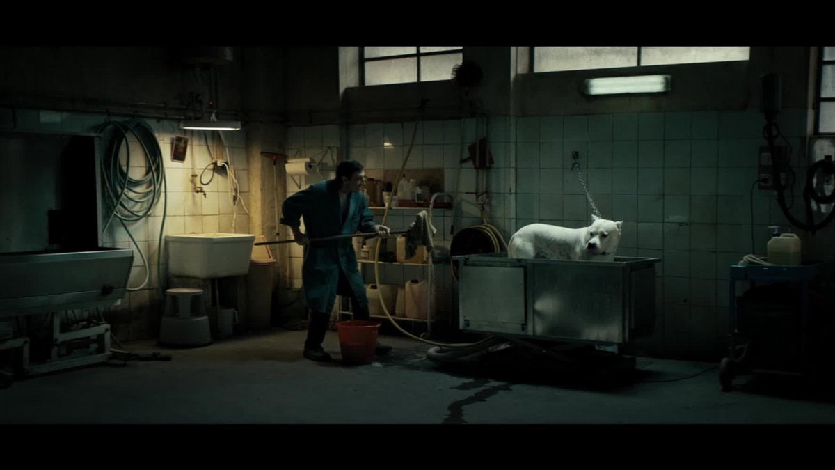 Immagine di Dogman, il film stasera in tv su Rai 4: trama, cast e streaming