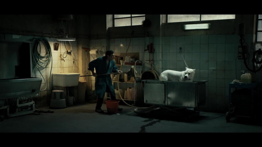 Dogman, il film stasera in tv su Rai 4: trama, cast e streaming