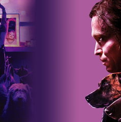 Copertina di Dogman è una storia vera? Il caso reale dietro il film