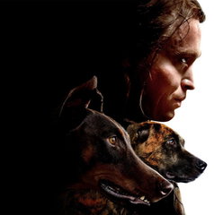 Copertina di Quali sono le canzoni della colonna sonora di Dogman?