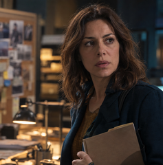 Copertina di Dove vedere Erica – Una detective per caso stasera: orario, canale e streaming
