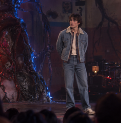 Copertina di Dove vedere Stranger Things: Storie dal 1985 2 oggi: a che ora esce su Netflix